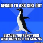 socially-awkward-penguin-afraid-to-ask-girl-out_thumb